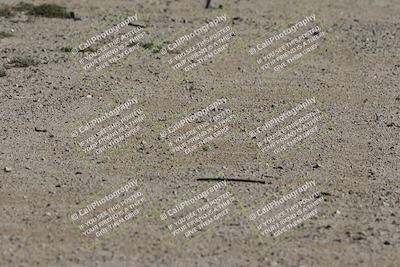 media/Oct-12-2025-Lucky Dog Racing (Sun) [[8adb5568ea]]/1-First Stint/6-Turns 2 and 1 Exit/